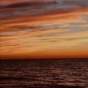 Meet your Posher, Dylan